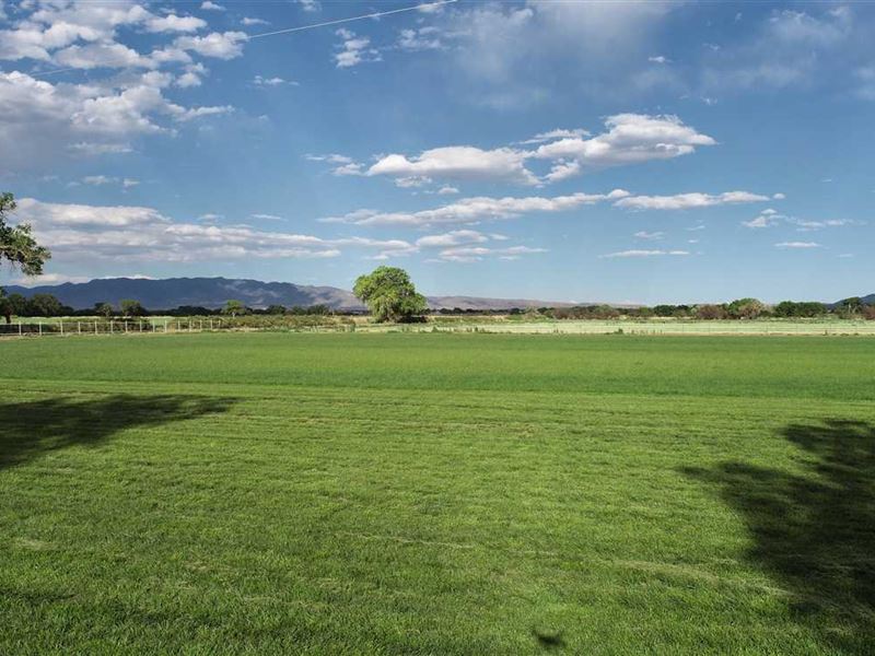 Wiley Farm, Auction July 8, 2021 : Veguita : Socorro County : New Mexico