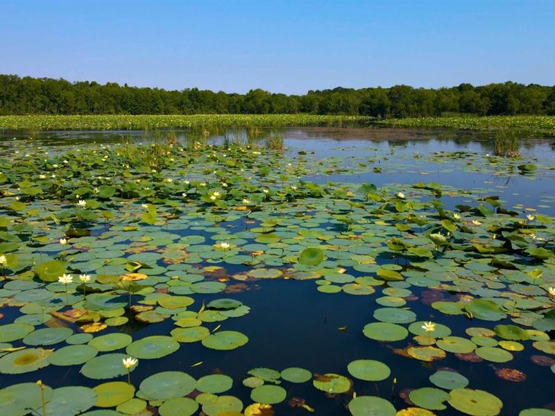Central Flyway Wetlands Recreationa : Hardin : Liberty County : Texas