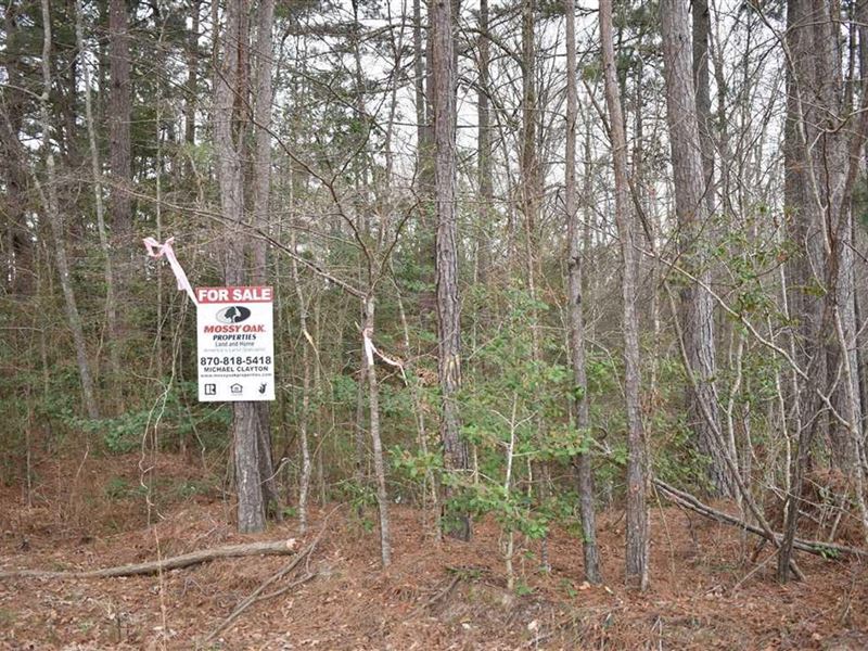 Black Creek : Rosston : Nevada County : Arkansas