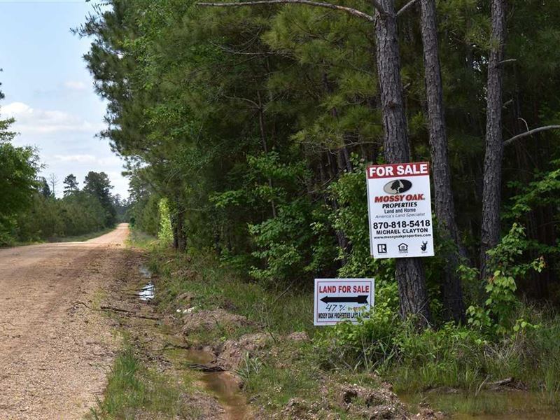 Snake Creek : Hermitage : Bradley County : Arkansas