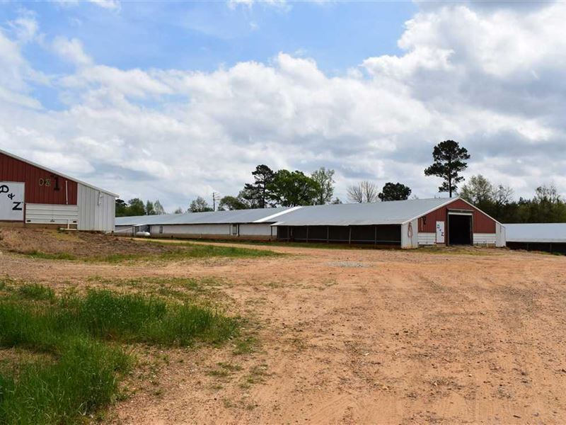 98 Acres in Rosston, Arkansas : Rosston : Nevada County : Arkansas