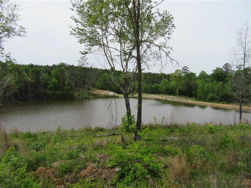 Jones Lake : Land for Sale in Hope, Hempstead County, Arkansas ...