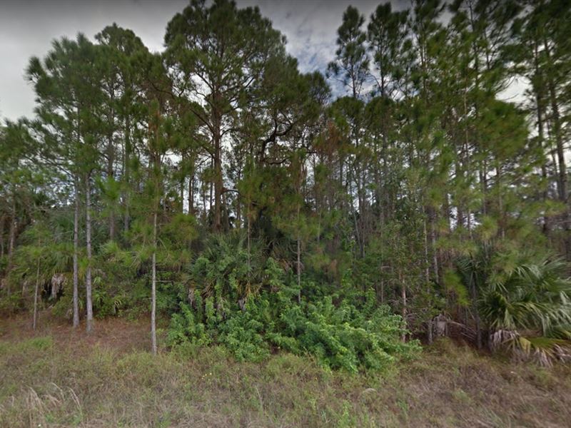 .29 Acres for Sale in Lehigh Acres : Lehigh Acres : Lee County : Florida