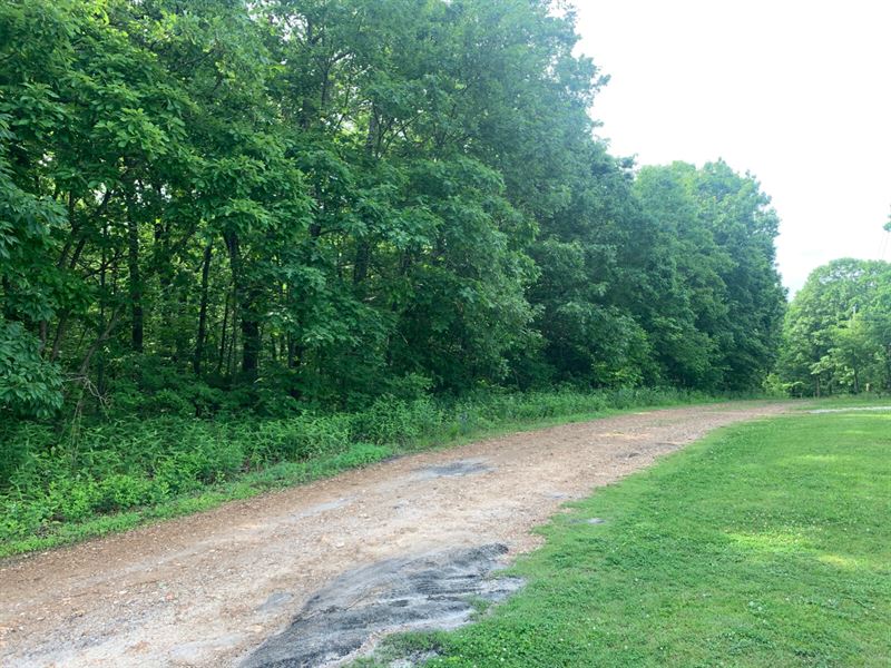 4.5 Acres in Truman Lake, MO : Osceola : Saint Clair County : Missouri