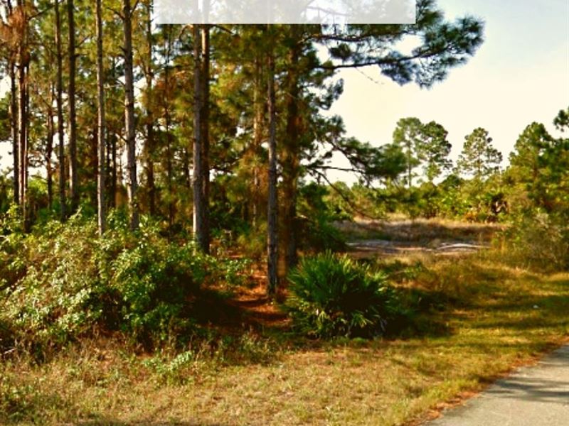 .43 Acre Only $1 Down, $299/Mo : Lehigh Acres : Lee County : Florida