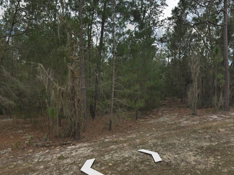 Almost 1 Acre, 2 Week RV Stays : Florahome : Putnam County : Florida