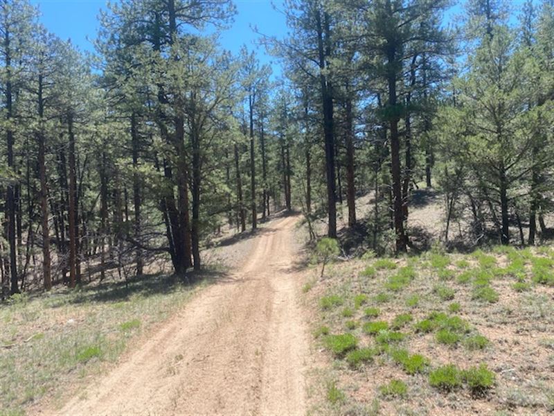 My Side of The Mountain : Cotopaxi : Fremont County : Colorado