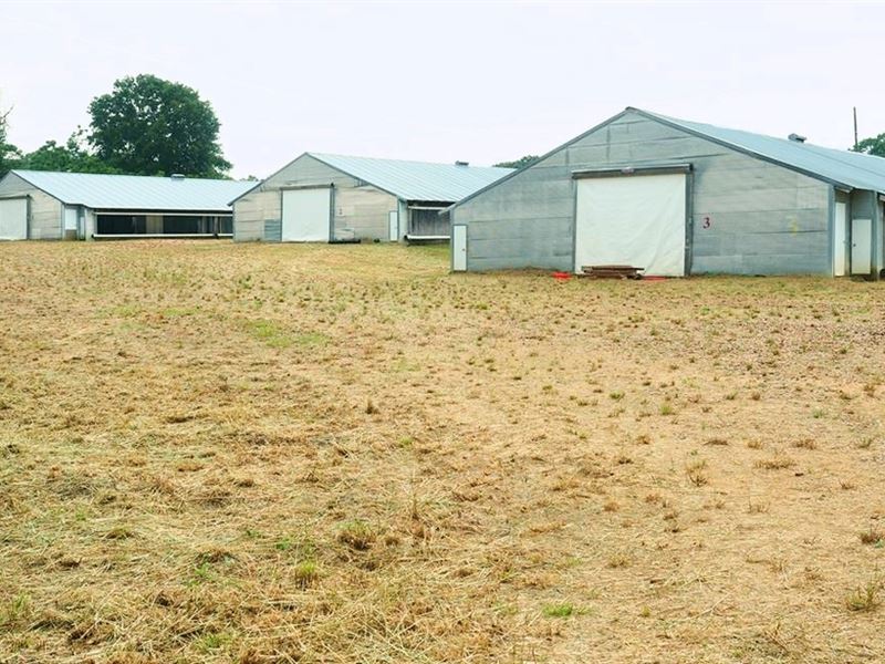 4 House Broiler Poultry Farm for Sa : Forest : Scott County : Mississippi