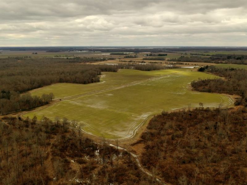 Lawson-Trotter Farm, East : Roe : Monroe County : Arkansas