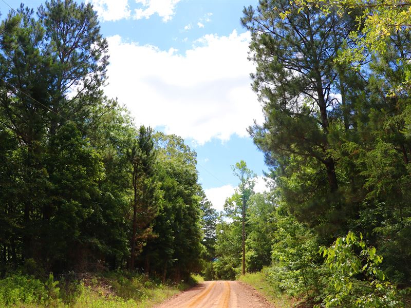 25 Acres, Timber and Power : Rosston : Nevada County : Arkansas
