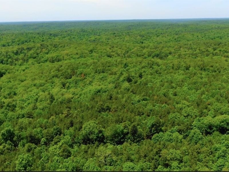 $1500 Down On Hunting Tract : Rolla : Dent County : Missouri