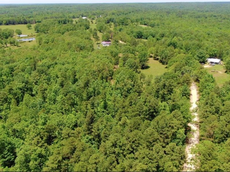 $1500 Down On Hunting Tract : Rolla : Dent County : Missouri