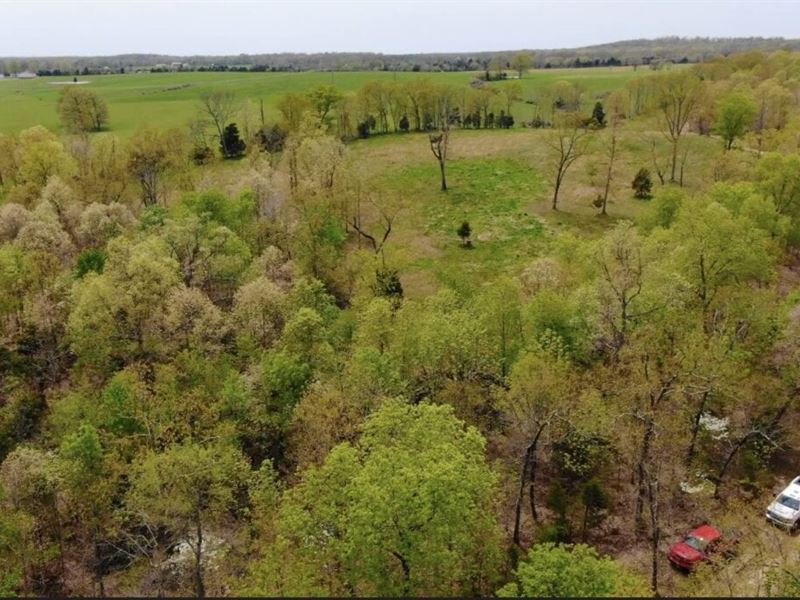 $1500 Down On Hunting Tract : Rolla : Pulaski County : Missouri