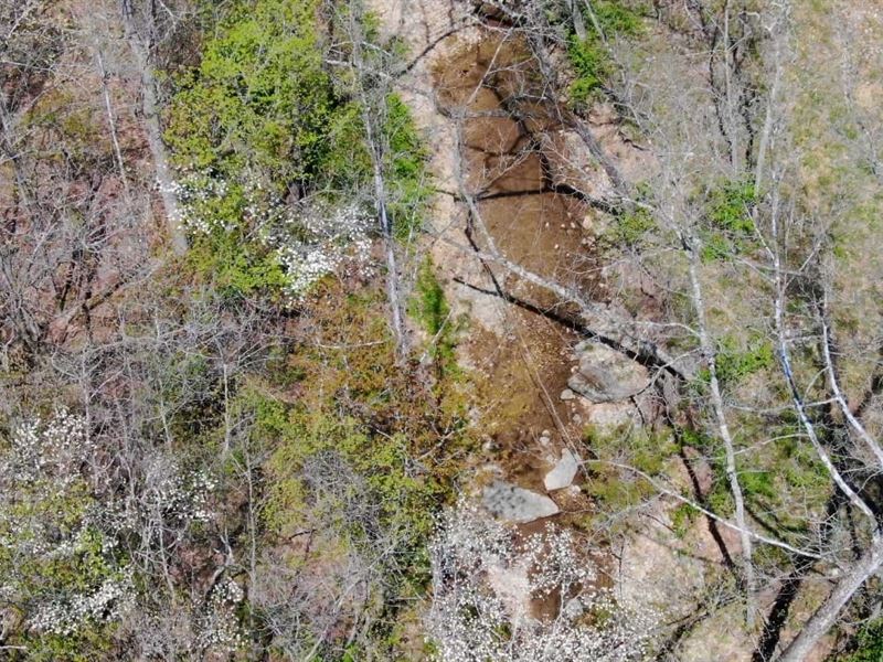 Owner Financed, 41 Acres Of Hunting : Rolla : Pulaski County : Missouri