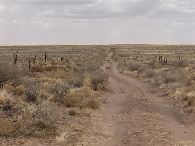 Off Grid Remote and Dollar Down : Adamana : Apache County : Arizona