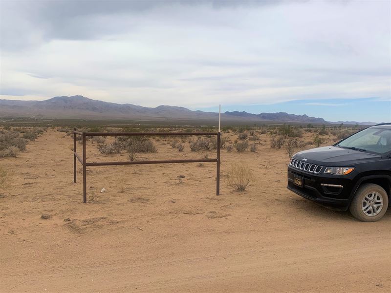 Prime Location, Surveyed, $695/Mo : Dolan Springs : Mohave County : Arizona