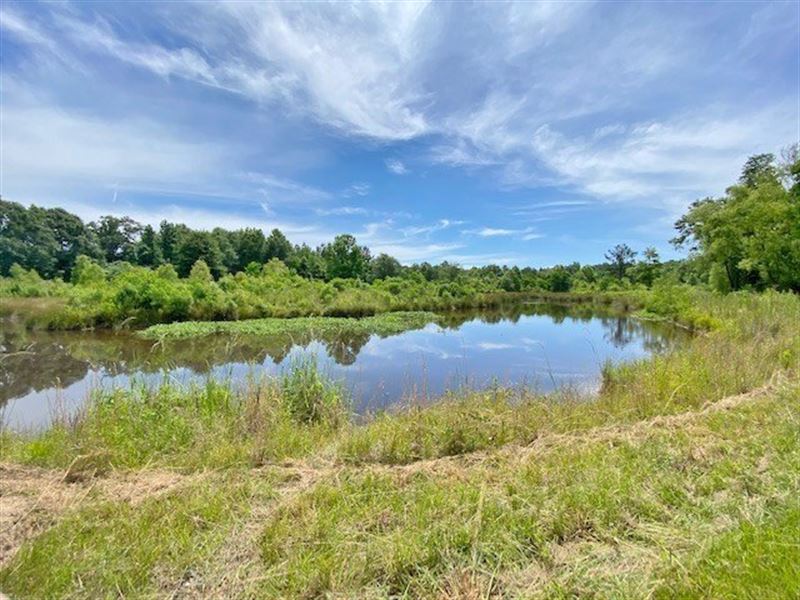 64.6 Acres with Camp,Pond and Creek : Tylertown : Walthall County : Mississippi