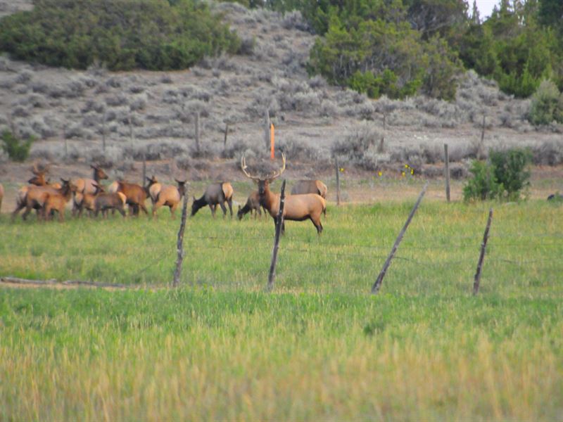 Big Spring Ranch : Big Timber : Sweet Grass County : Montana