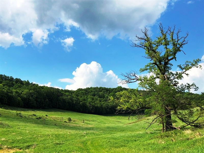 16954 Grand Bluff Lane : Richland Center : Richland County : Wisconsin