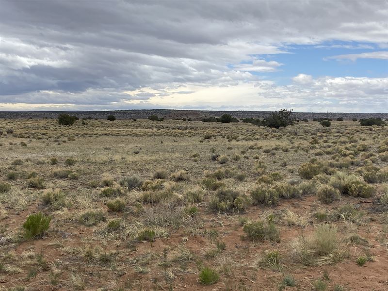 Historic Lots for You to Call Yours : Adamana : Apache County : Arizona