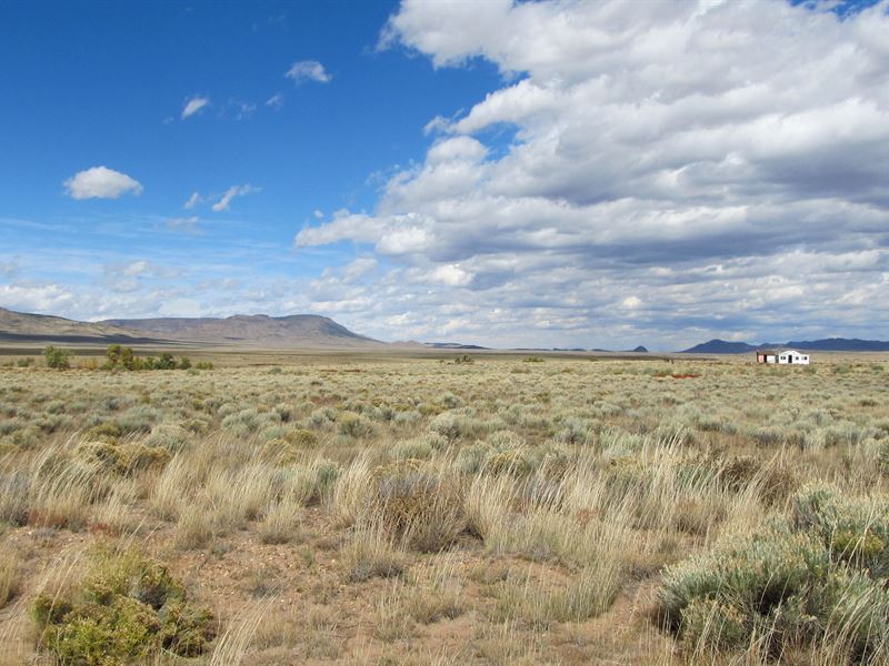 1 Acre on Rio Grande River : San Luis : Costilla County : Colorado