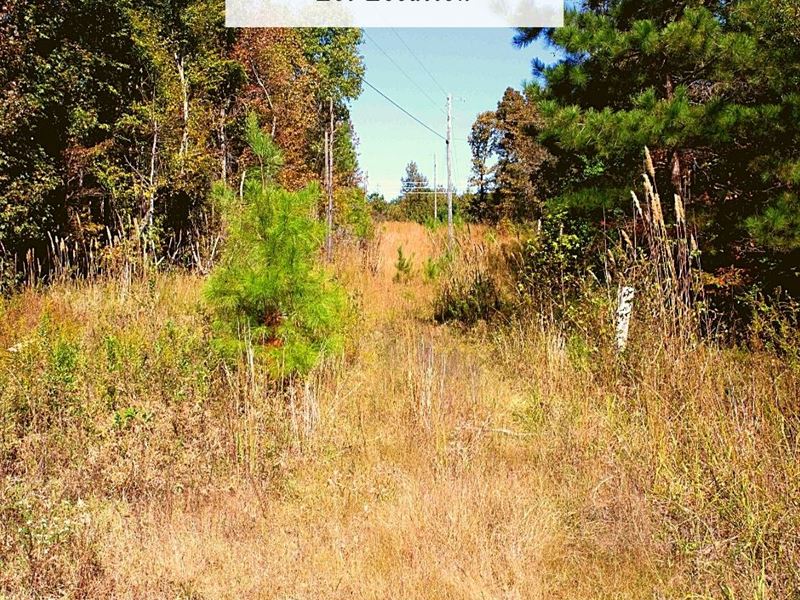 2 Acres Only $1 Down, $299/Mo : Batesville : Panola County : Mississippi