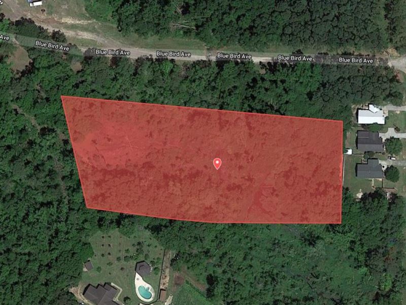 Great Investment Property : Thomasville : Thomas County : Georgia
