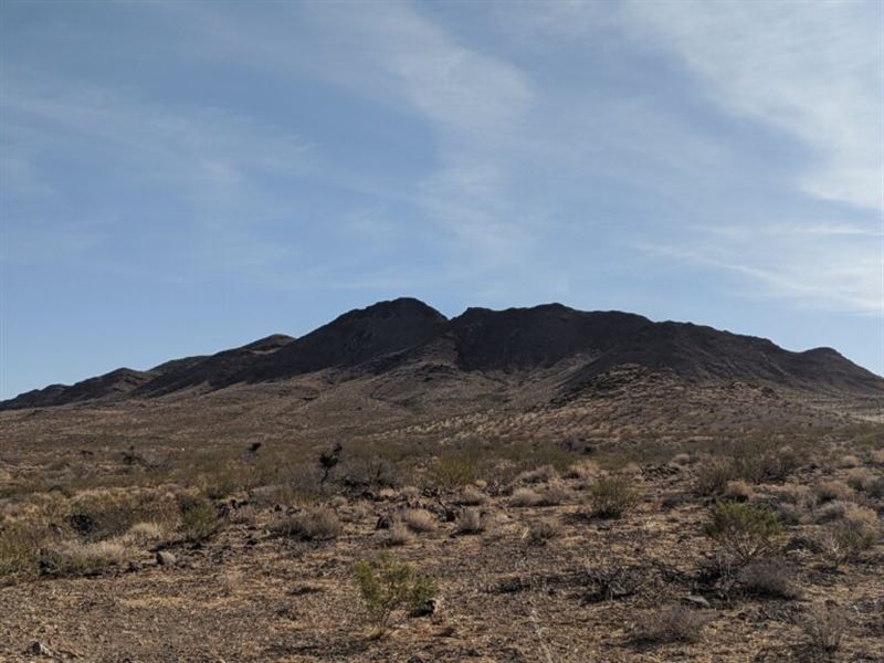 Escape The City & Enjoy Nature : Dolan Springs : Mohave County : Arizona
