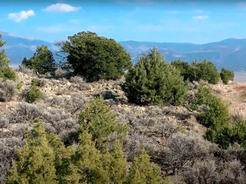 2.36 Acres In San Luis, Colorado : San Luis : Costilla County : Colorado