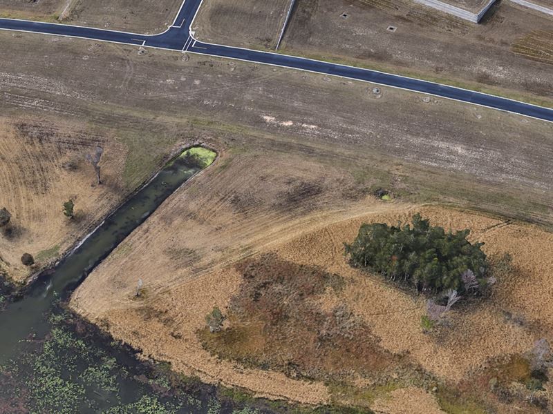 .93 Acres in Polk County, FL : Lake Alfred : Polk County : Florida