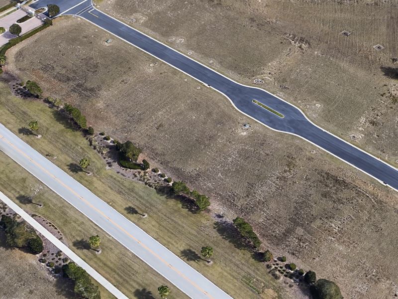 .25 Acres in Polk County, FL : Lake Alfred : Polk County : Florida