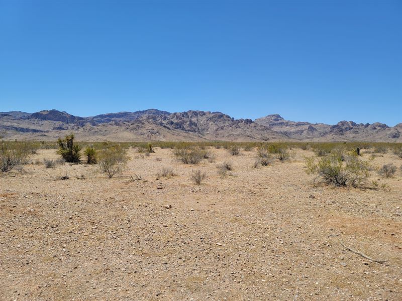 Pristine AZ Gem Near Public Lands : Golden Valley : Mohave County : Arizona