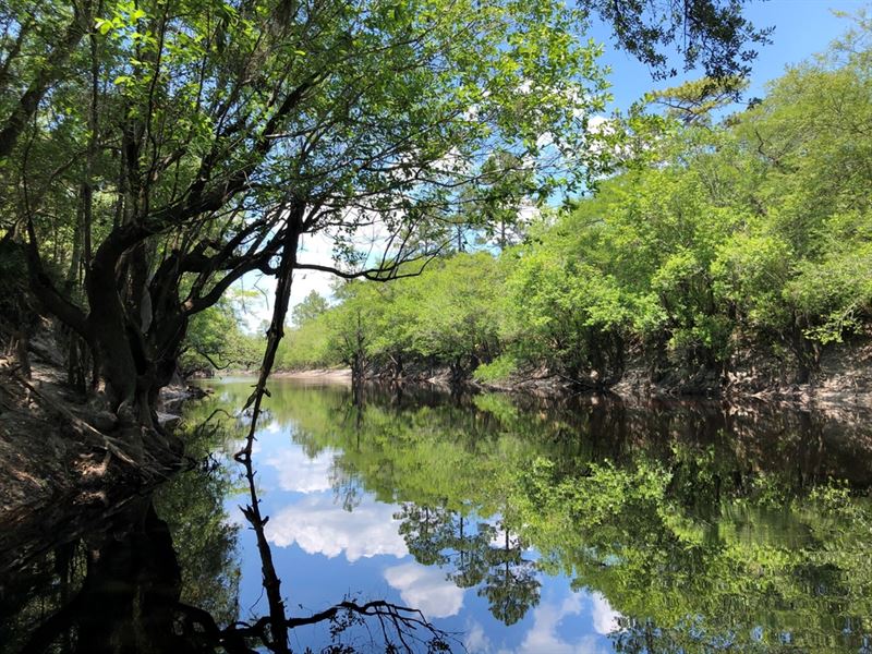 Riverhaven On St Marys River : Saint George : Charlton County : Georgia
