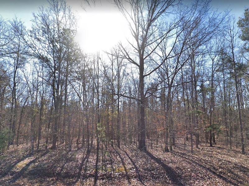 .58 Ac for Sale, Baldwin County, GA : East Baldwin : Baldwin County : Georgia