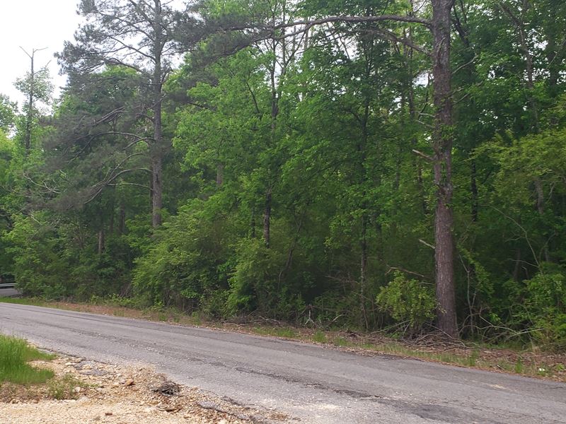 15 Acres of Wooded Land : Section : Jackson County : Alabama
