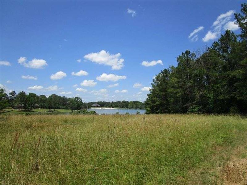 Vacant Land with Lake Frontage : Fitzpatrick : Montgomery County : Alabama