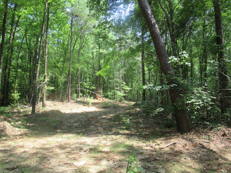 Homesite / Hunting Property : Alexander City : Tallapoosa County : Alabama
