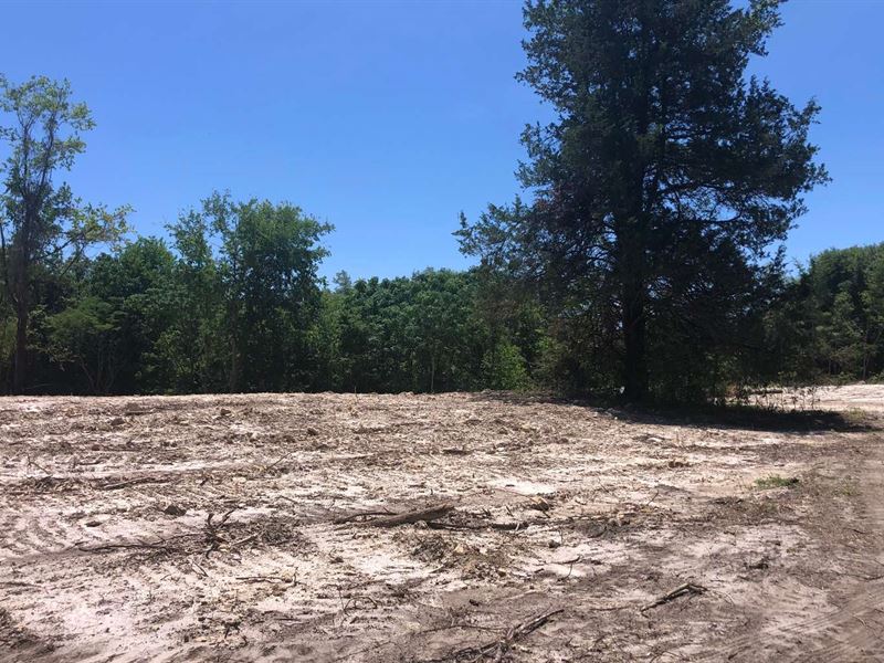 Nice 5 Acre Parcel : Live Oak : Suwannee County : Florida