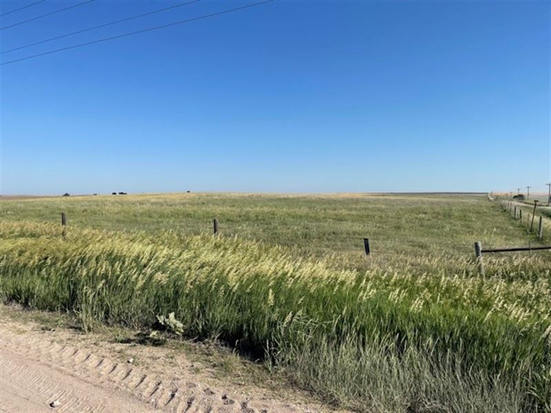 Crescent Farms Quarter 16 : Ogallah : Trego County : Kansas