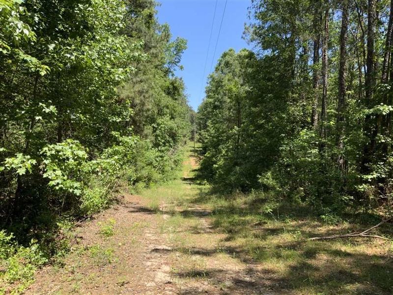 Tarpley Forest Tract of Grant Paris : Pollock : Grant Parish : Louisiana