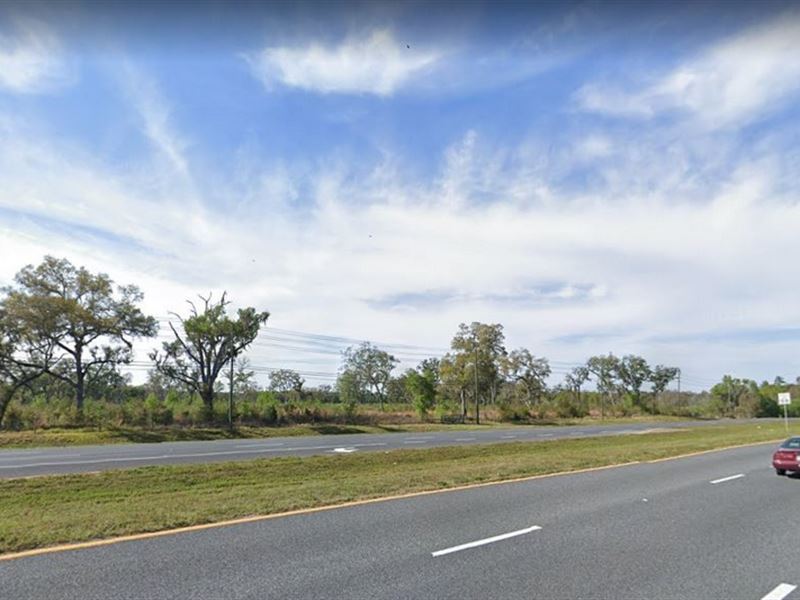 .29 Acres for Sale in Brooksville : Brooksville : Hernando County : Florida