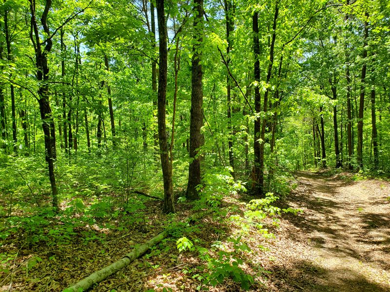 3.6 Ac Near Ellijay and Blue Ridge : Talking Rock : Gilmer County : Georgia