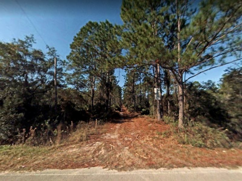 .23 Acres for Sale in Cresent City : Cresent City : Putnam County : Florida