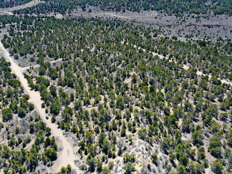 Awesome Acreage in Kane County, UT : Kanab : Kane County : Utah