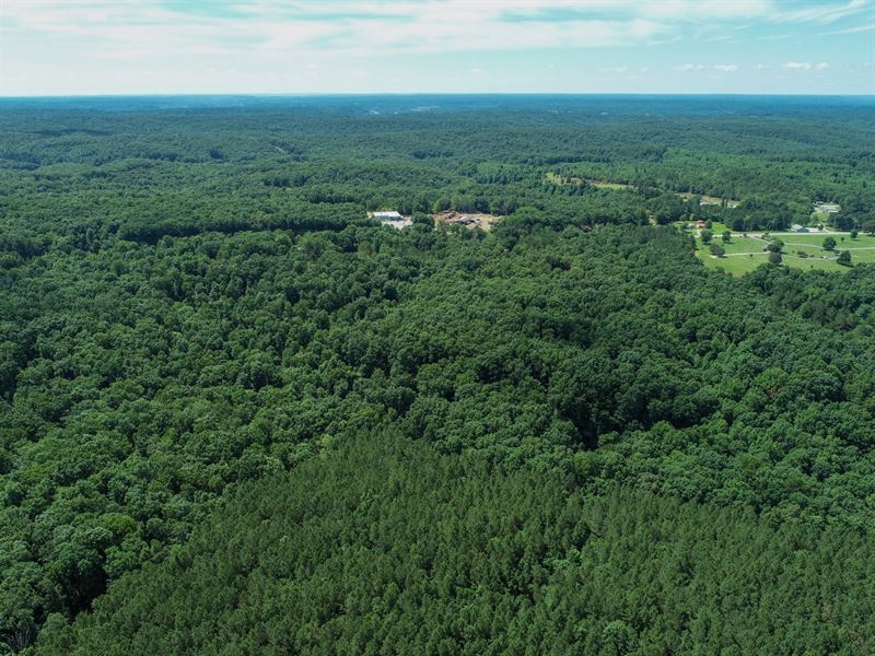 9.2 Acre Gem Ready to Build : Centerville : Hickman County : Tennessee