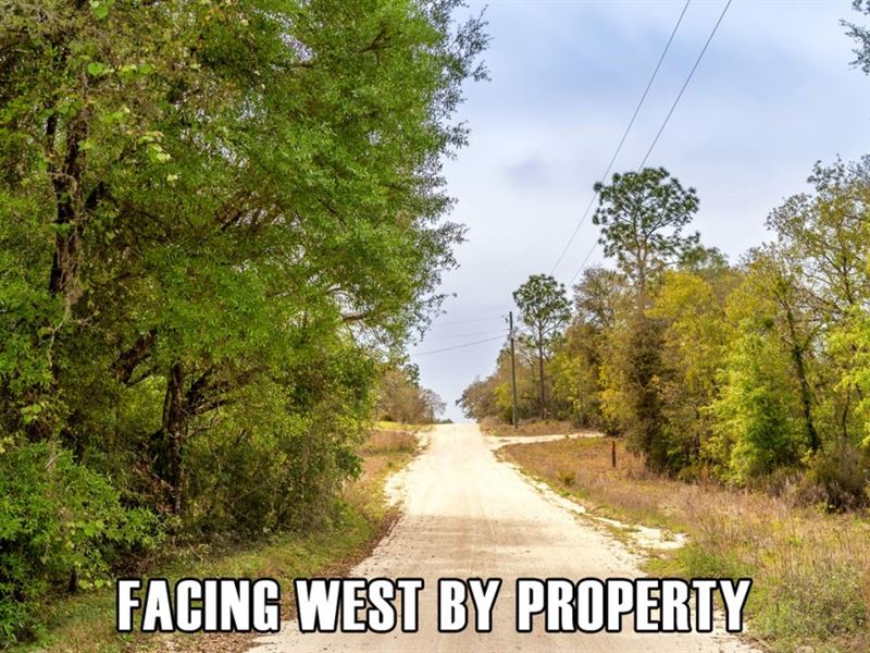 $3,900 Down, Mobile Home OK : Bronson : Levy County : Florida