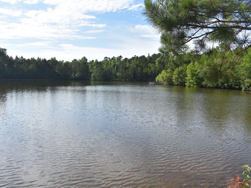 Rose Creek Farm : Eatonton : Putnam County : Georgia