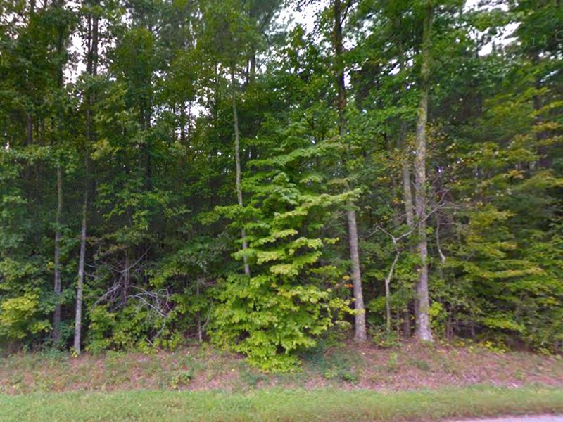 Acreage on Lake Gaston, Fsbo : Bracey : Mecklenburg County : Virginia