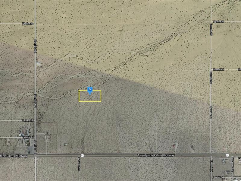 A Perfect Fit for Your Future : Joshua Tree : San Bernardino County : California