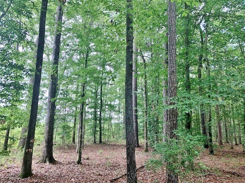 5 Acres On Kenna Road in Summit : Summit : Pike County : Mississippi